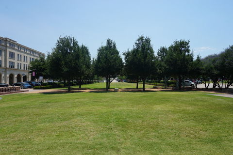 Frisco view 2
