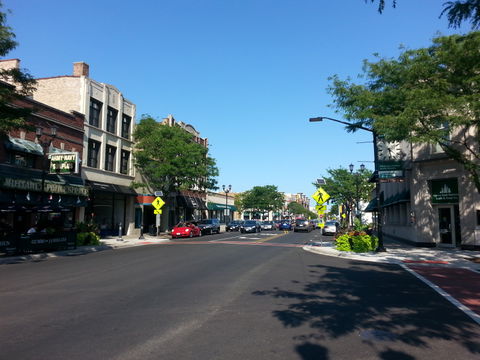 Forest Park view 3
