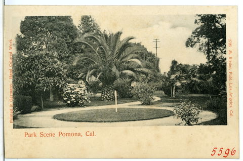 Pomona view 2