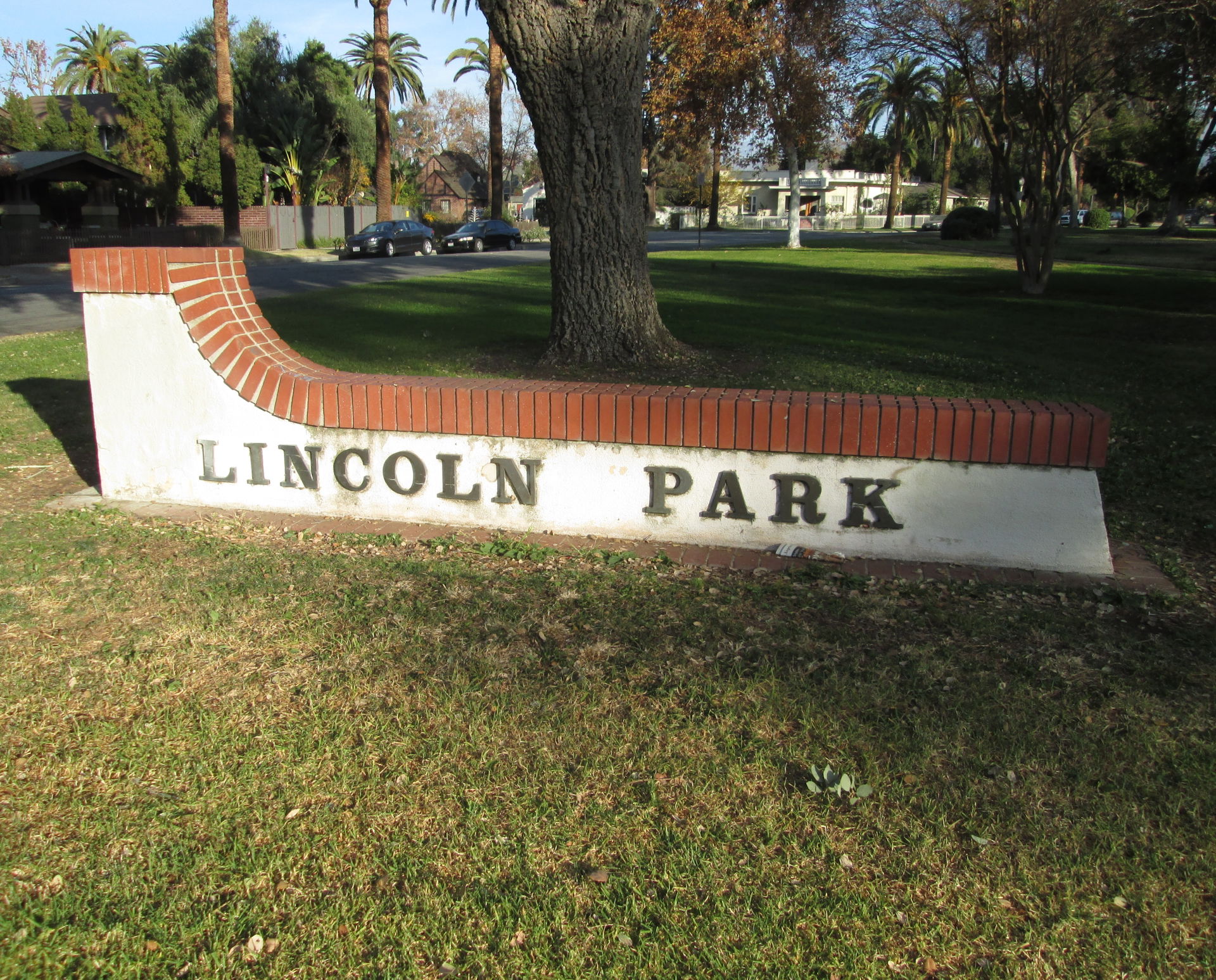 Lincoln Park view 5
