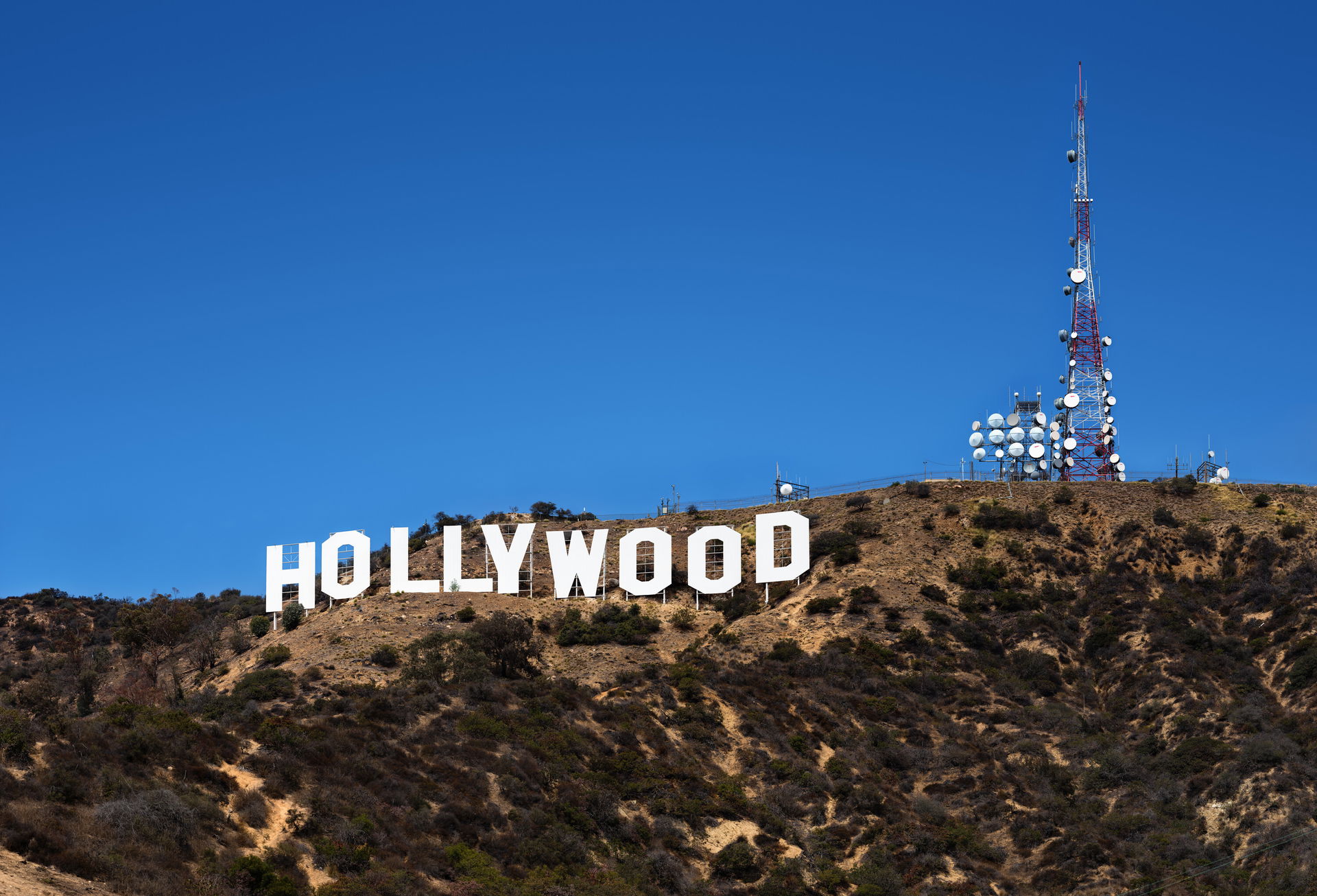 Hollywood view 5