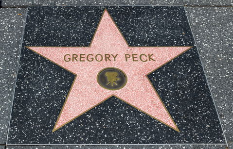 Hollywood view 3