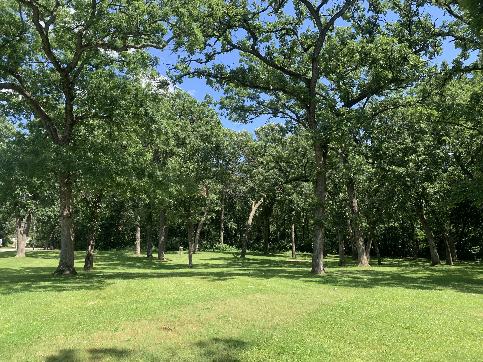 Loves Park view 1