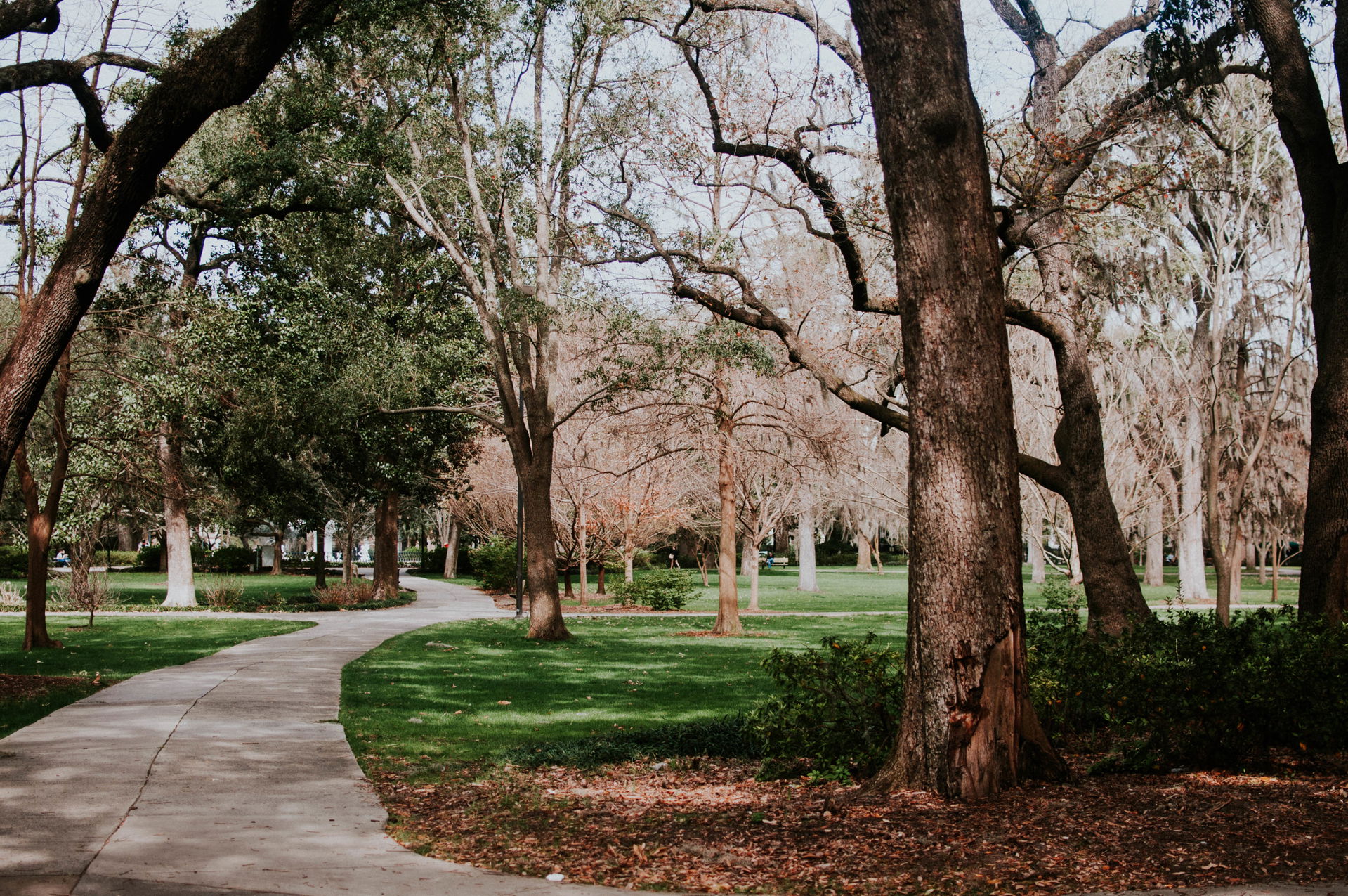Forsyth Park view 2