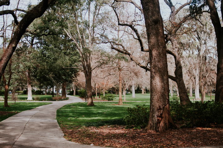 Forsyth Park district