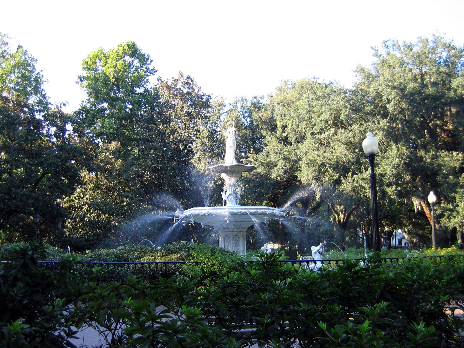 Forsyth Park view 5
