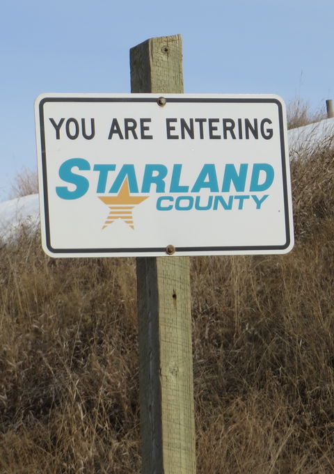 Starland District view 2