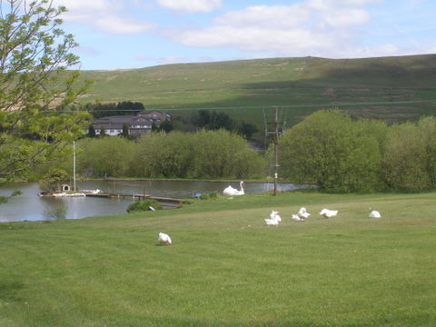 Surprise Farms view 2