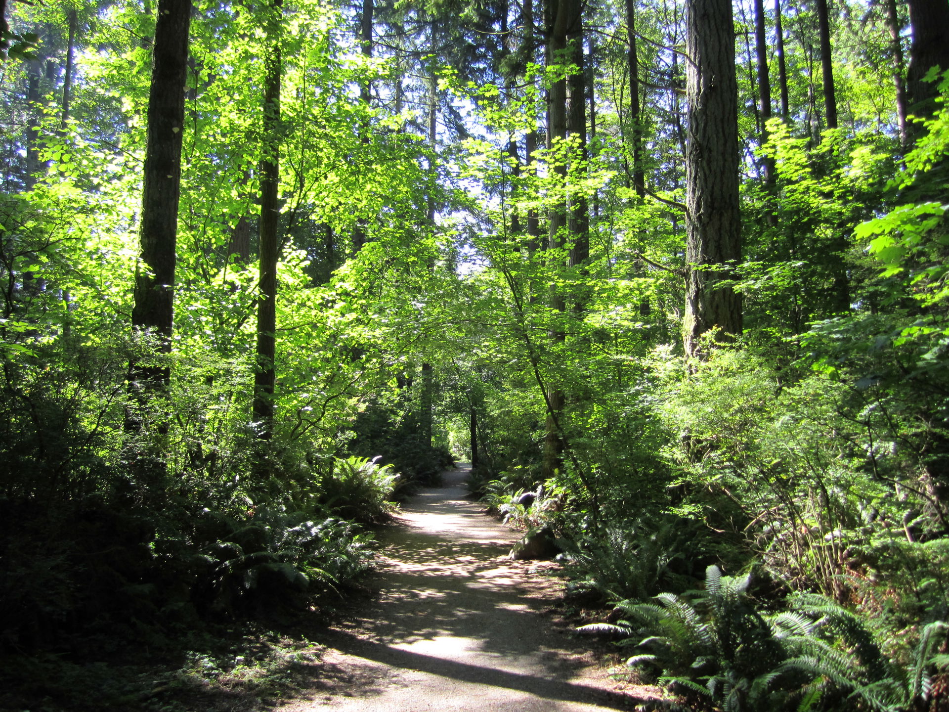 Forest Acres view 3