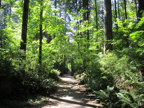 Forest Acres view 3