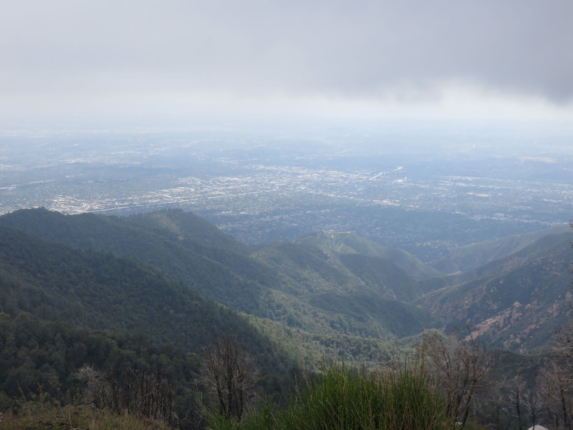 Pasadena view 2