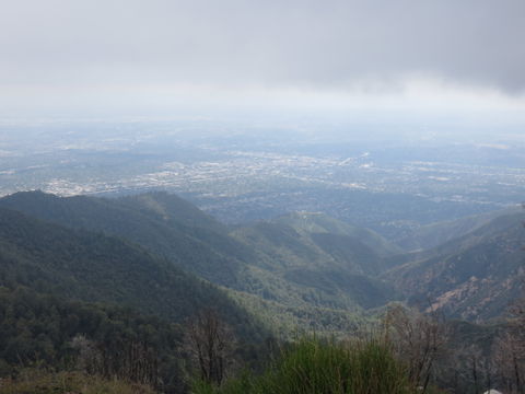 Pasadena view 2