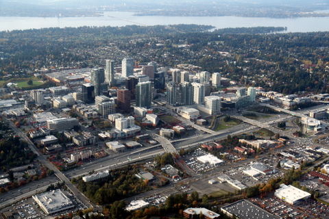 Bellevue view 3