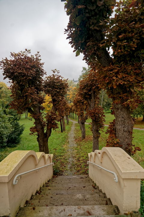 West Bellevue view 2