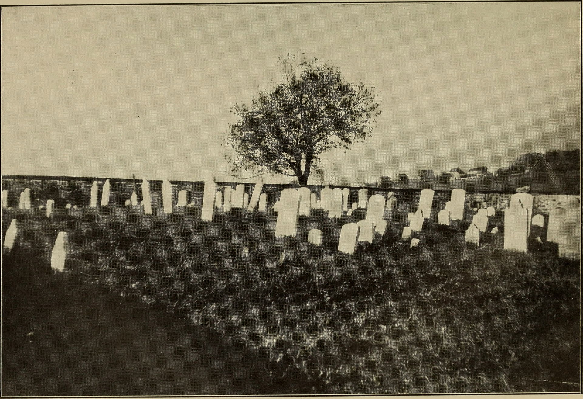 Identifier: historyofchurcho00chur (find matches)
Title: Histor…