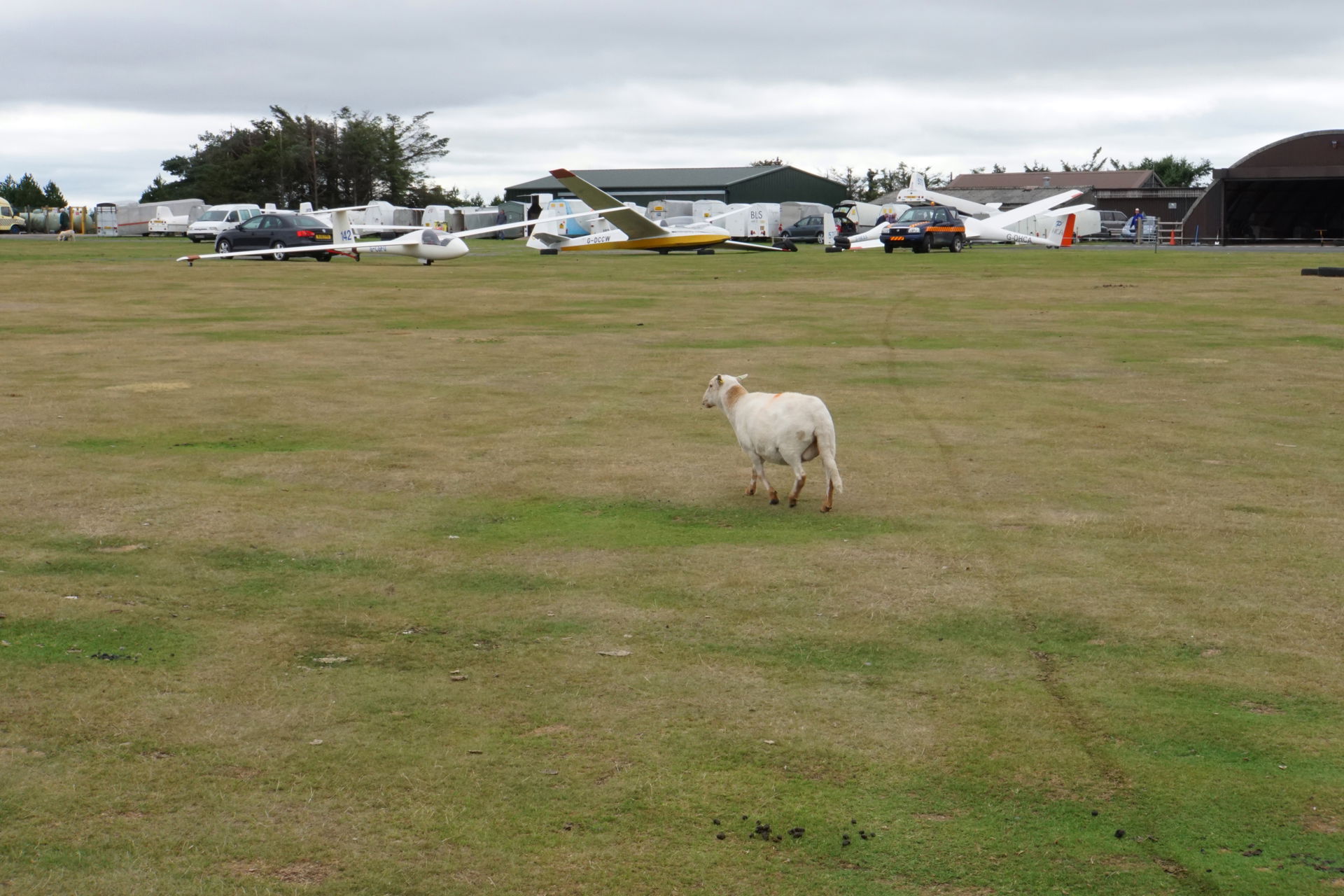 Grasslands view 2