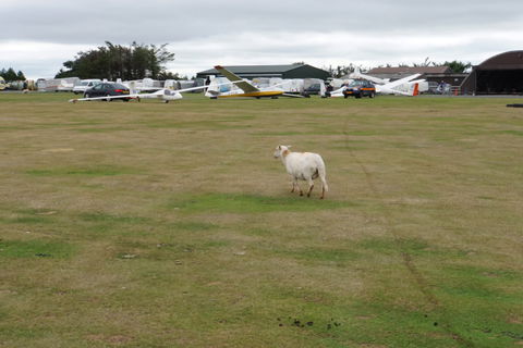 Grasslands view 2