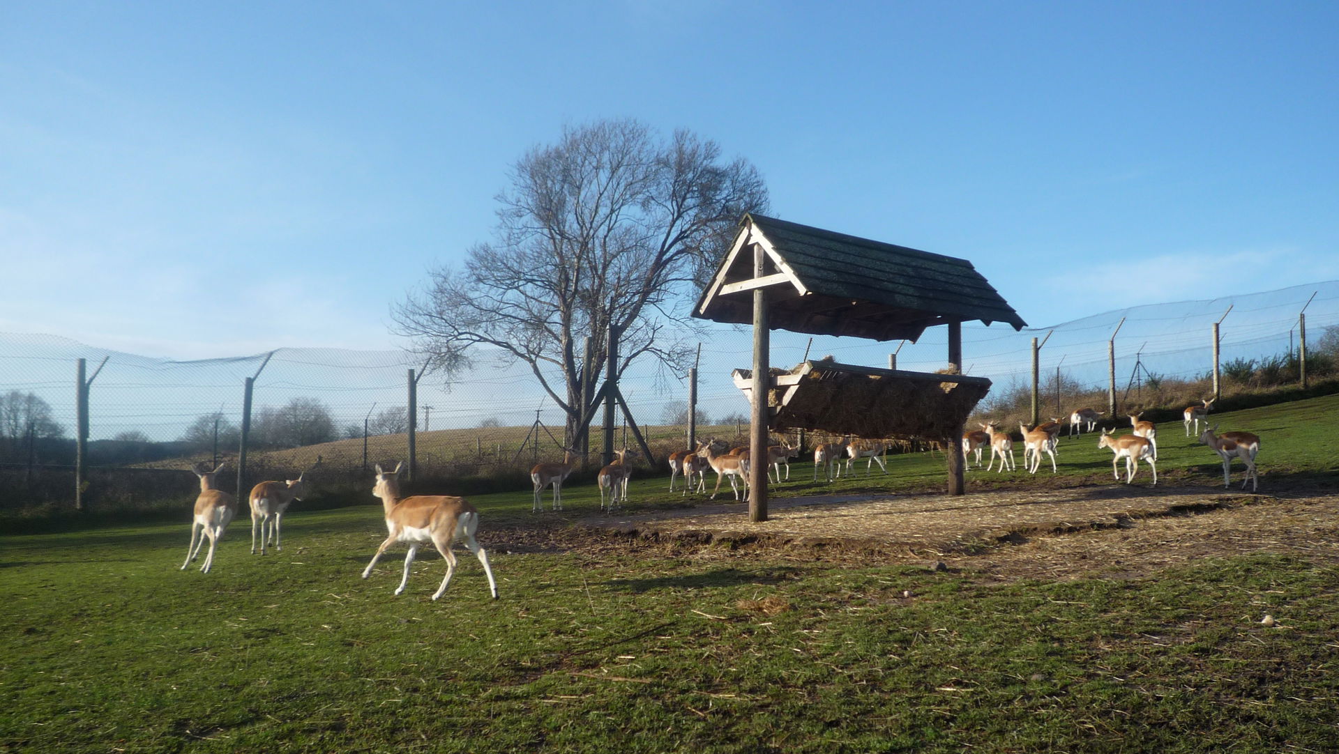 Grasslands view 3