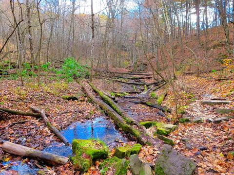 Dodge Park Area view 1