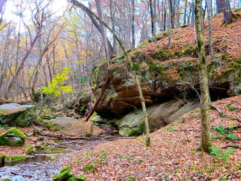 Dodge Park Area view 3
