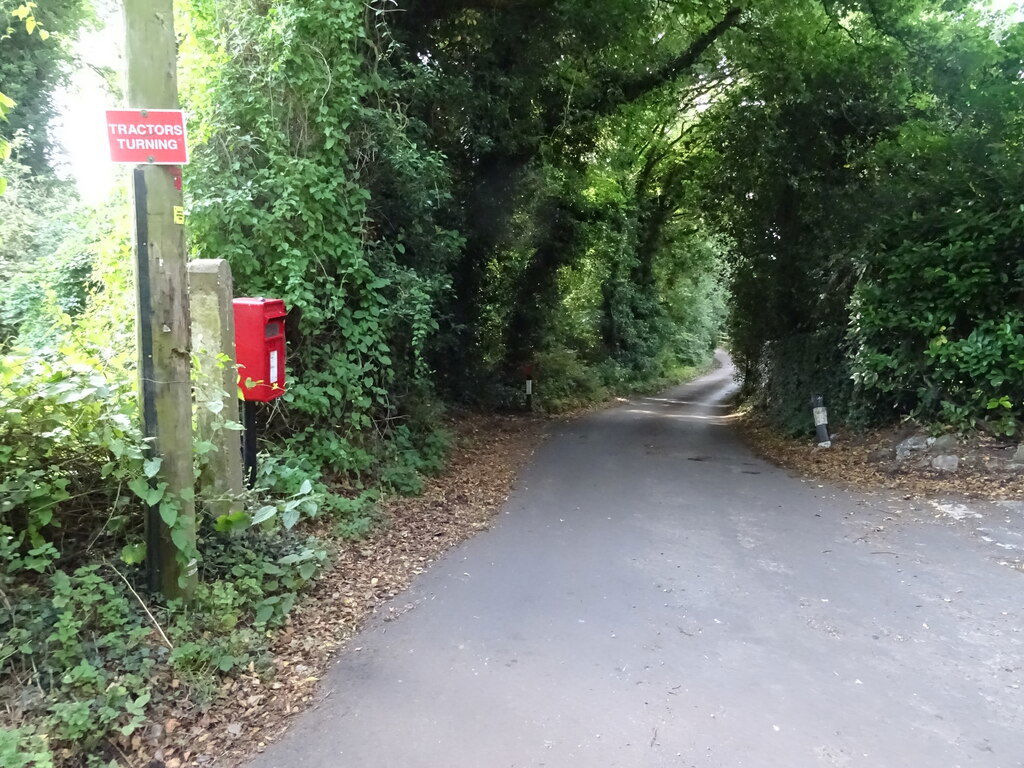 Hill view 5
