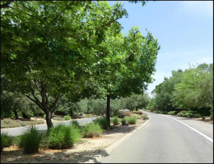 Granite Bay district