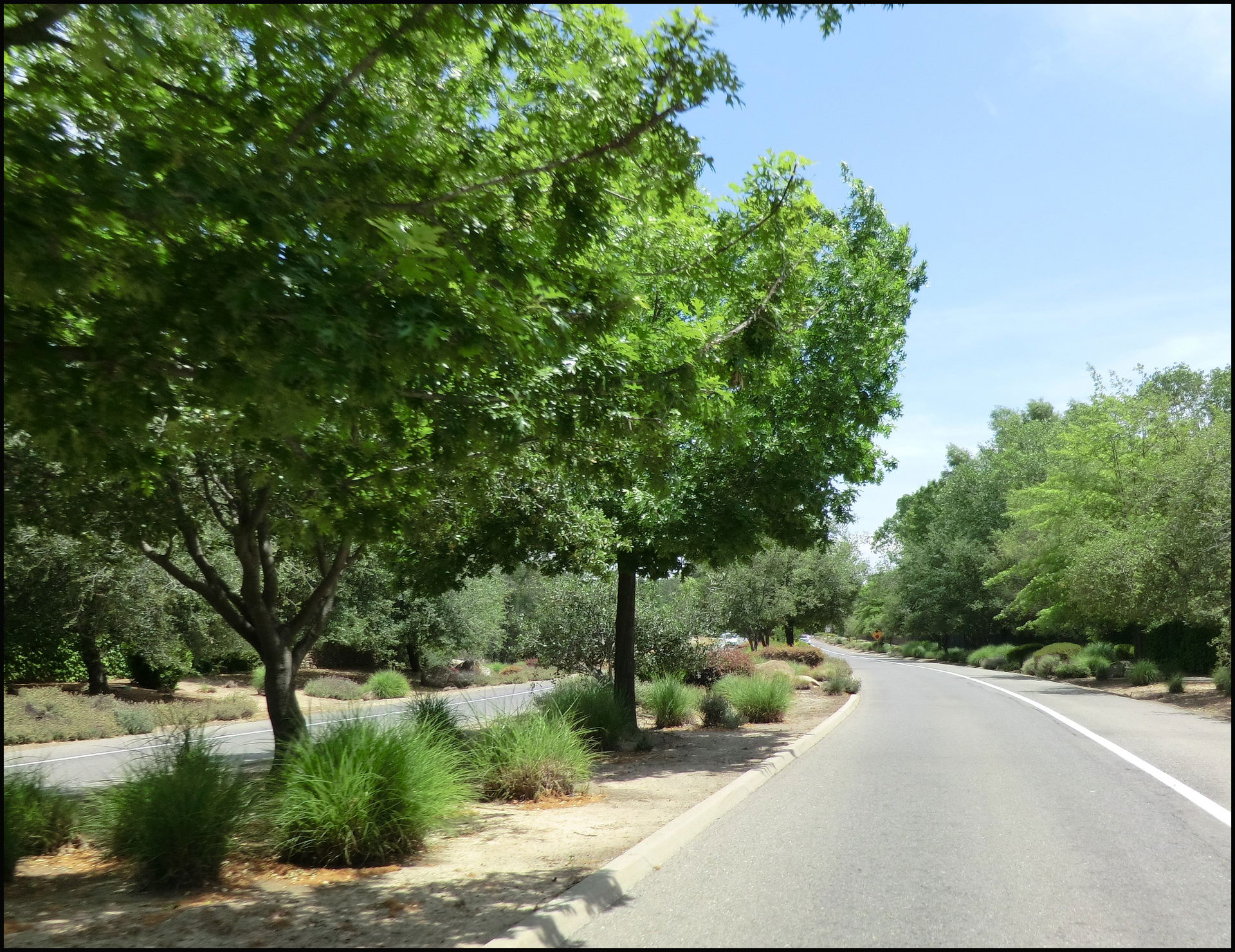 Roseville Parkway, Granite Bay, CA