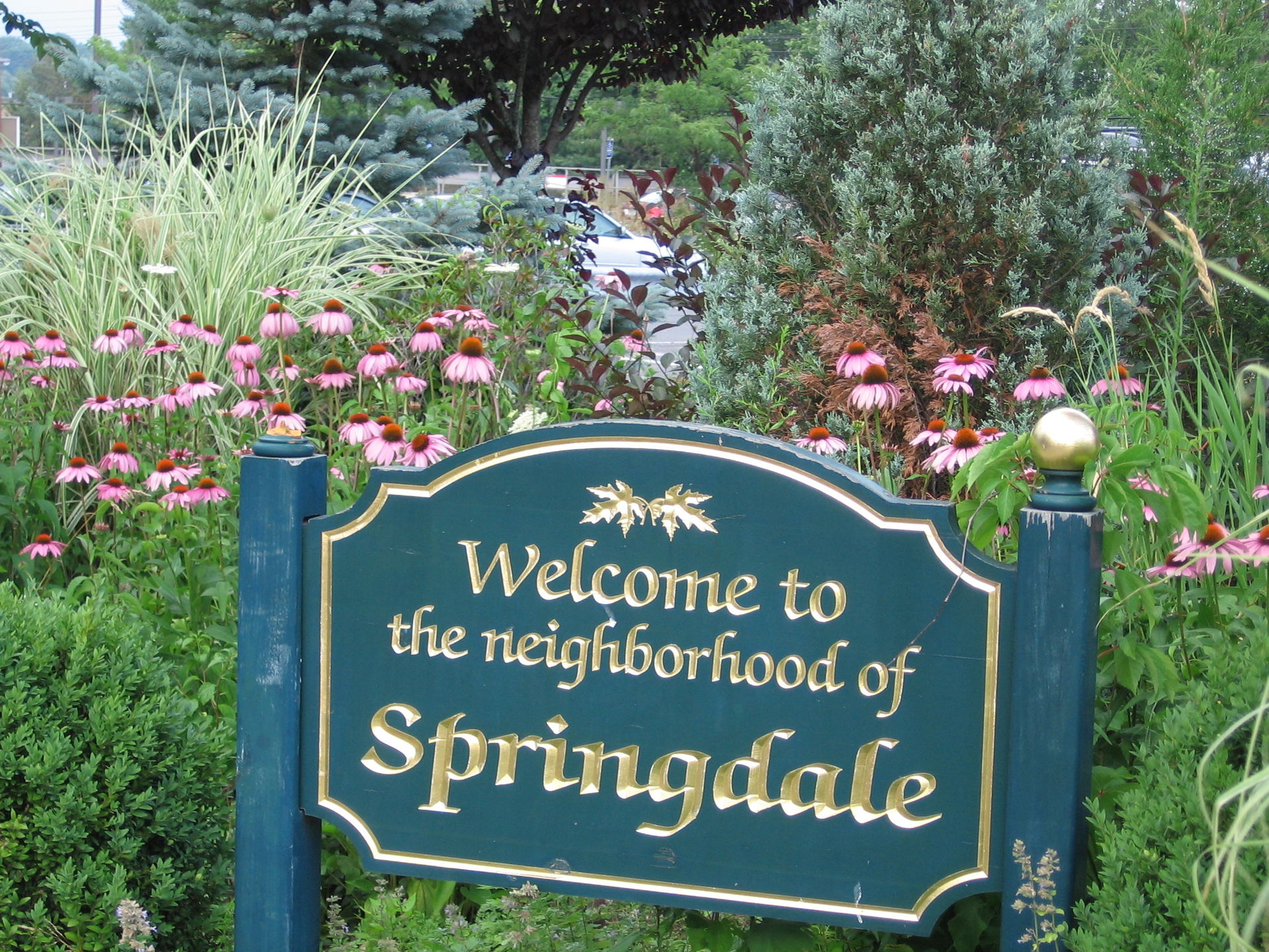 Springdale view 4