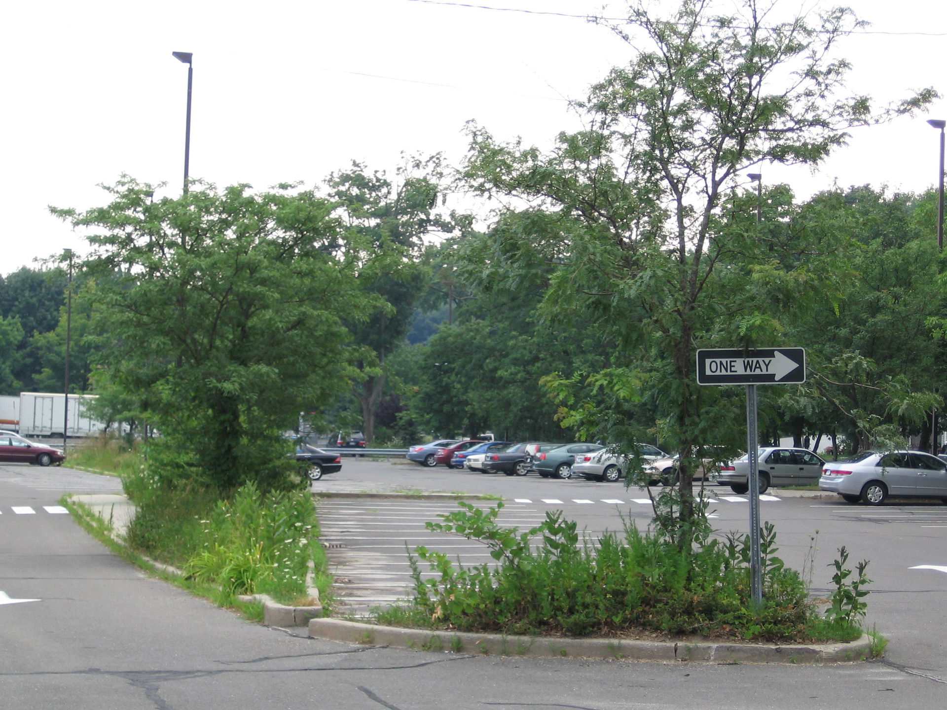 Springdale view 5