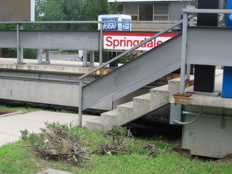 Springdale view 3