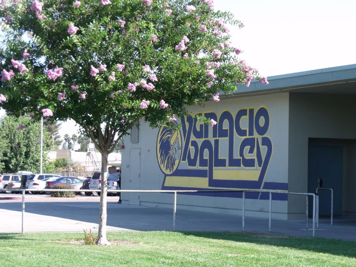 Ygnacio Valley district