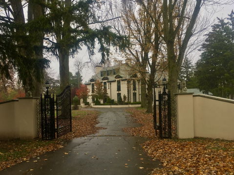 Eggertsville view 2