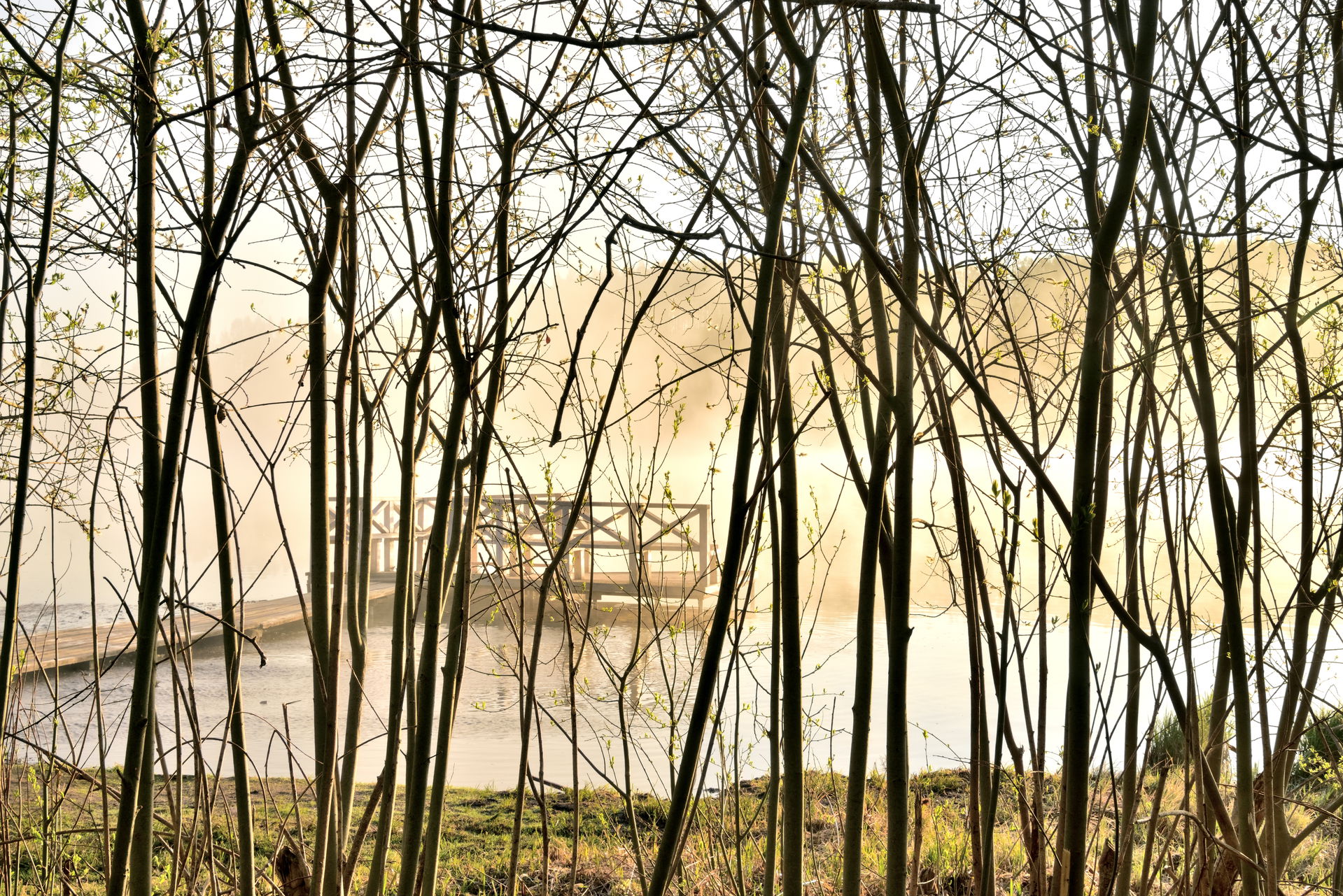 Spring Valley Lake view 1