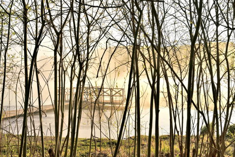 Spring Valley Lake view 1