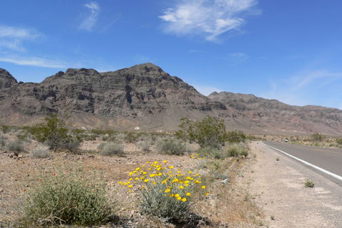 Spring Valley Lake view 3