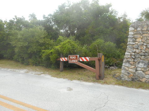 Springs Road Area view 2