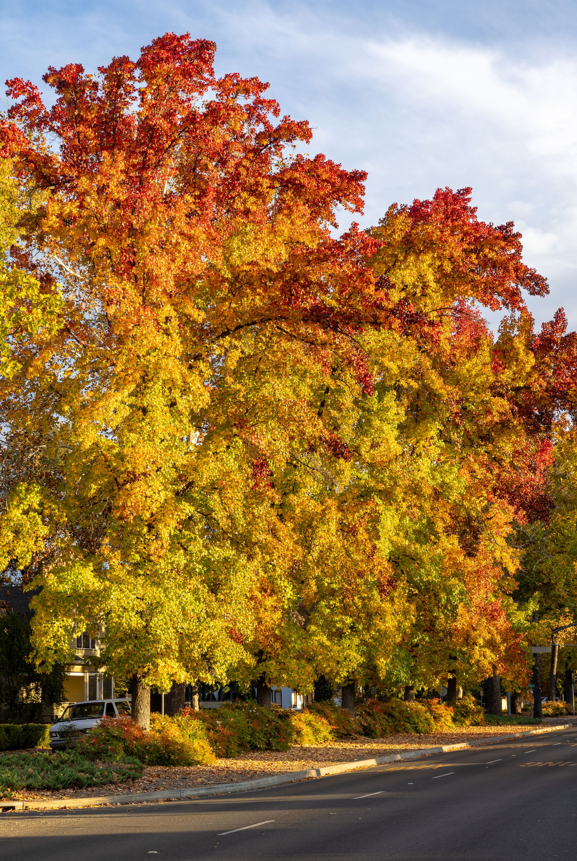 City of Chico view 2