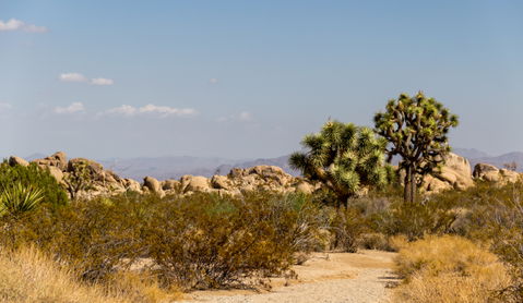 California Park view 3