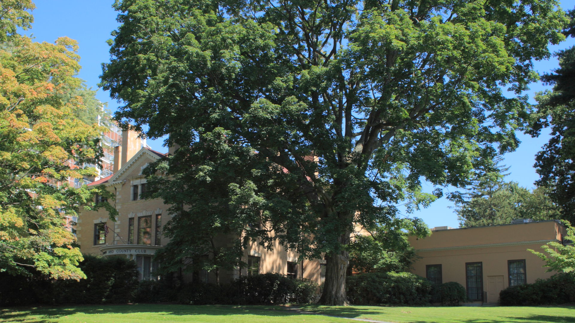 Asylum Hill view 3