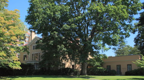 Asylum Hill view 3