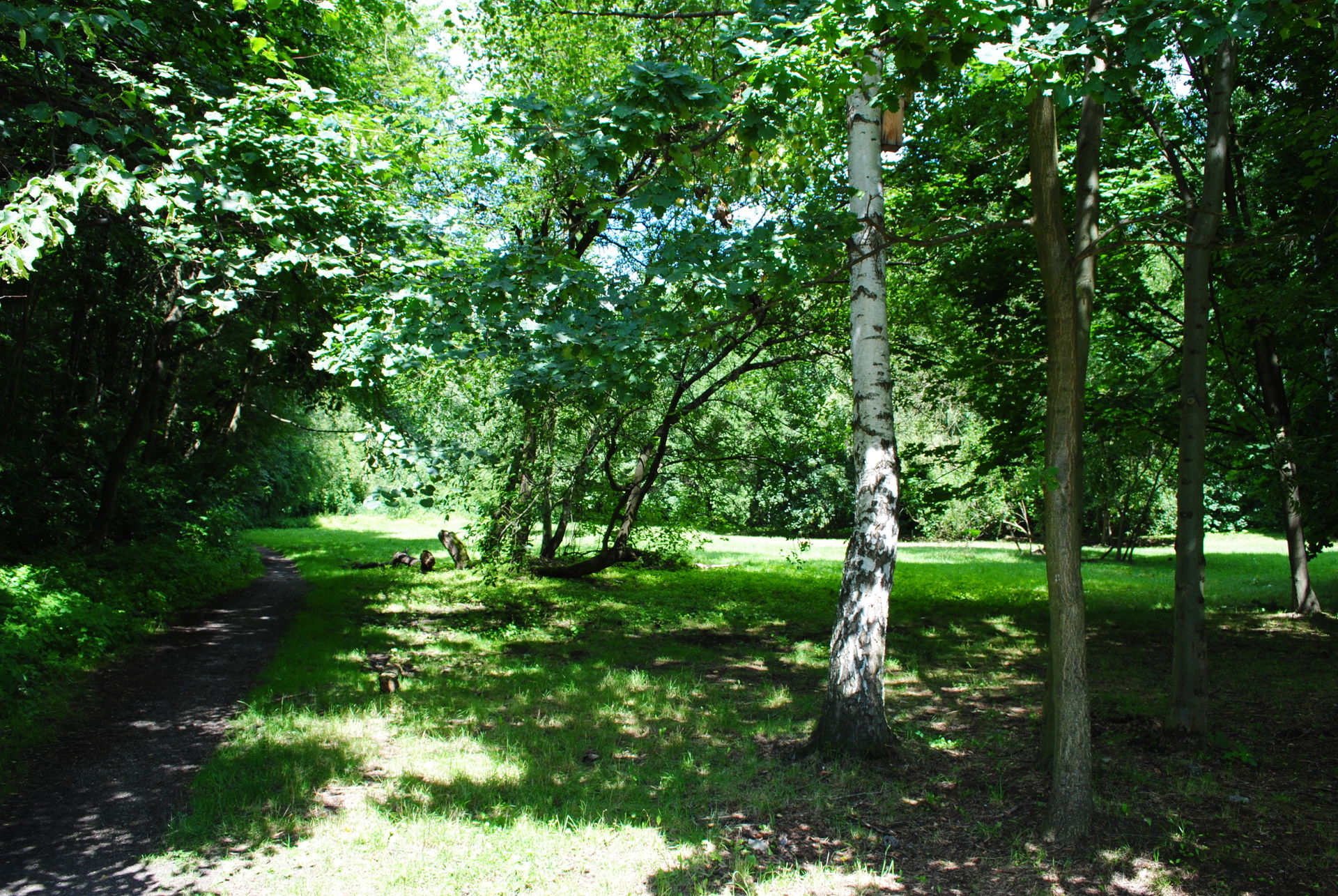 Ligota-Panewniki view 4