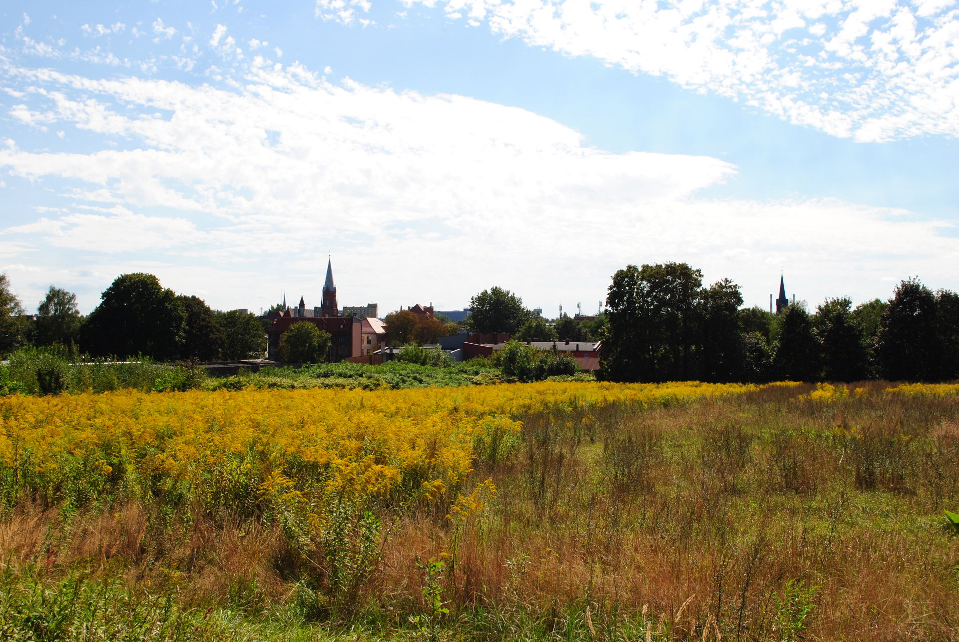 Szopienice-Burowiec view 4