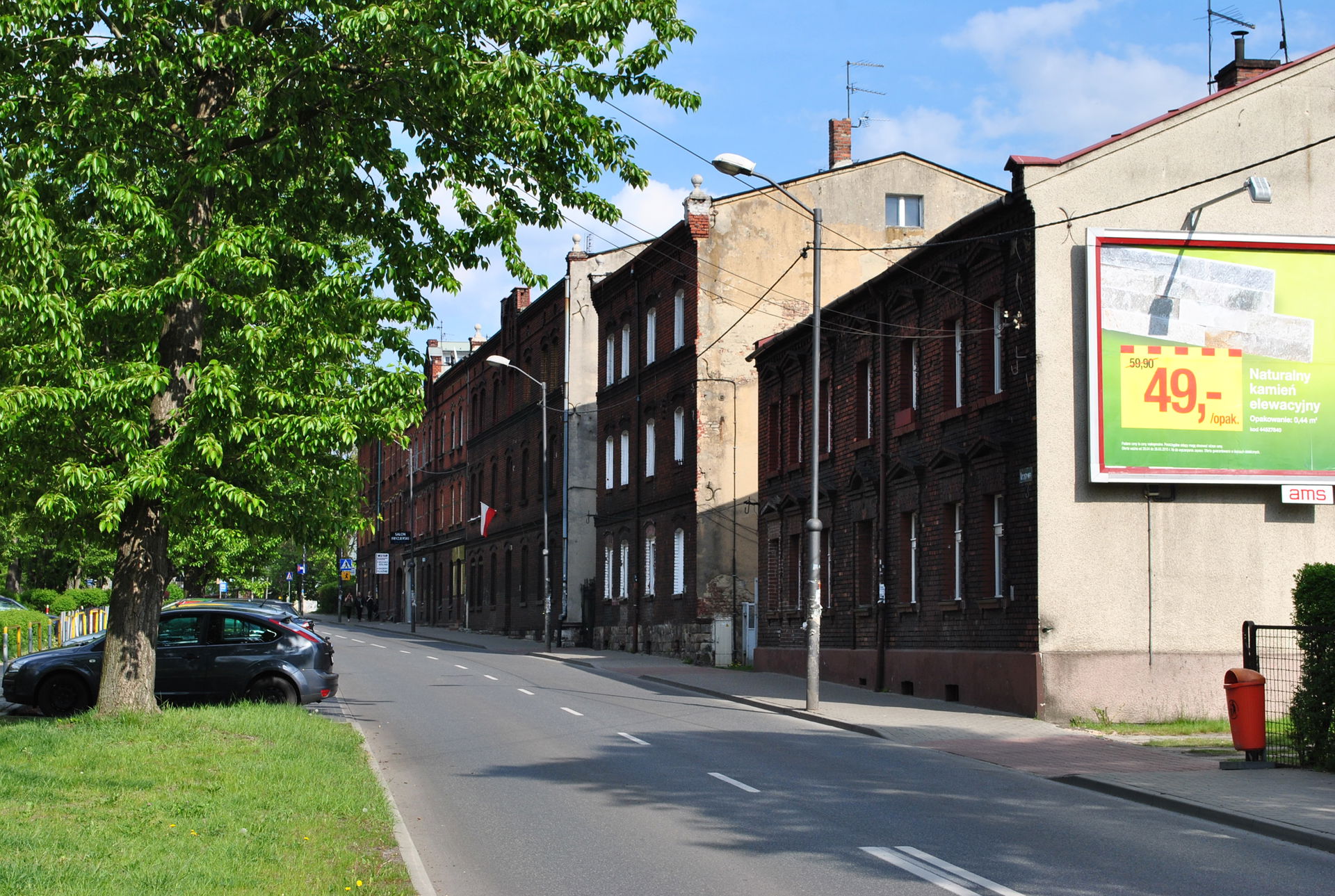 Dąb view 4