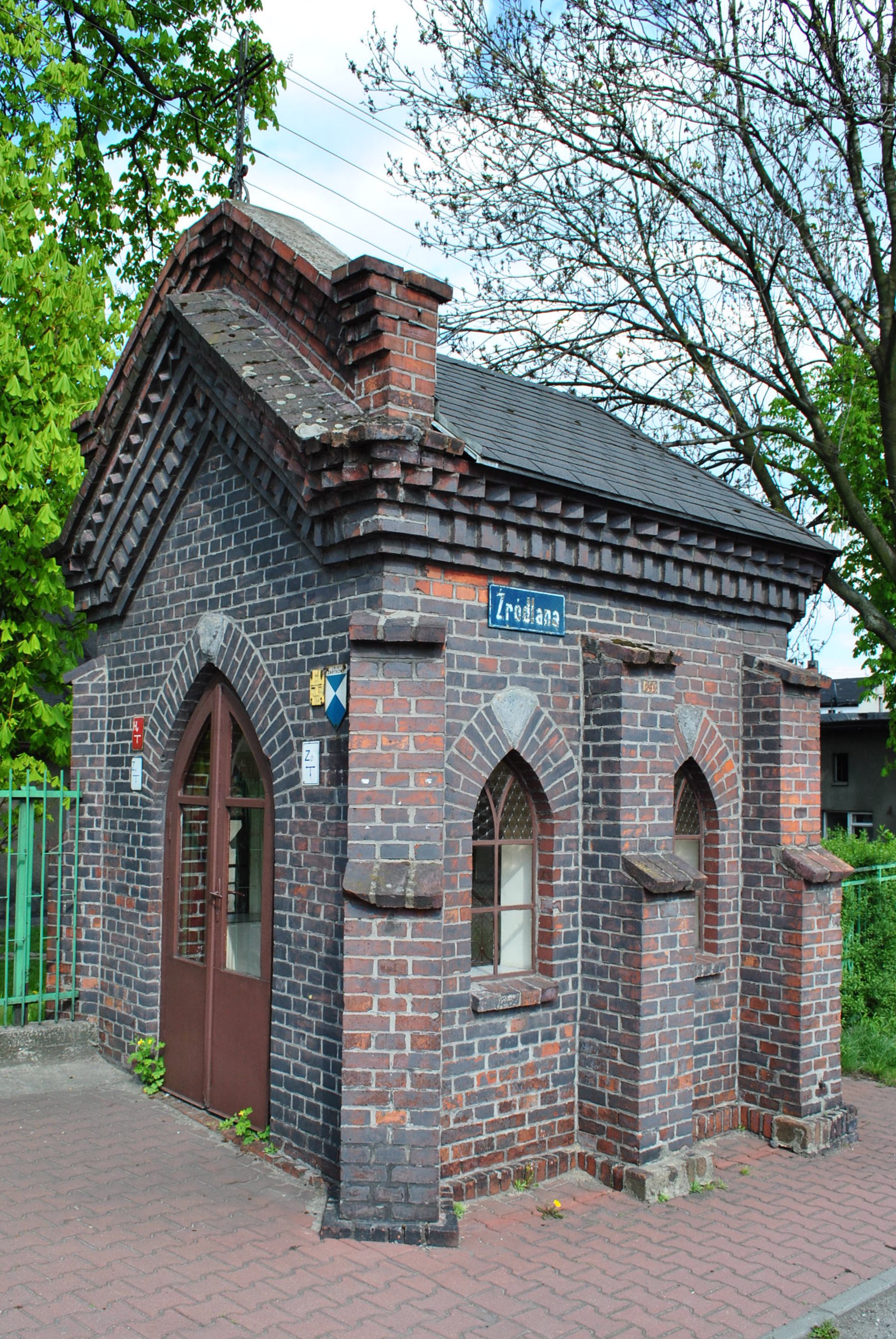 Dąb view 5
