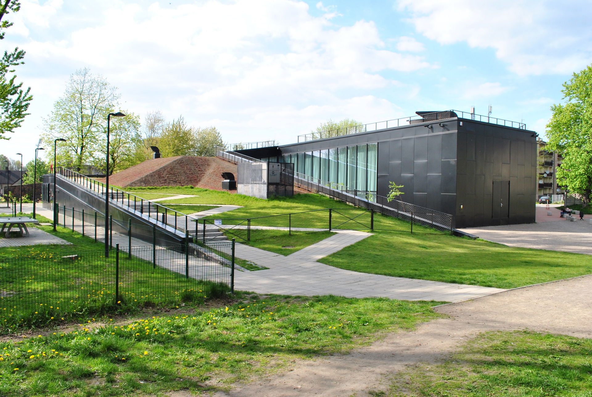 Dąb view 1