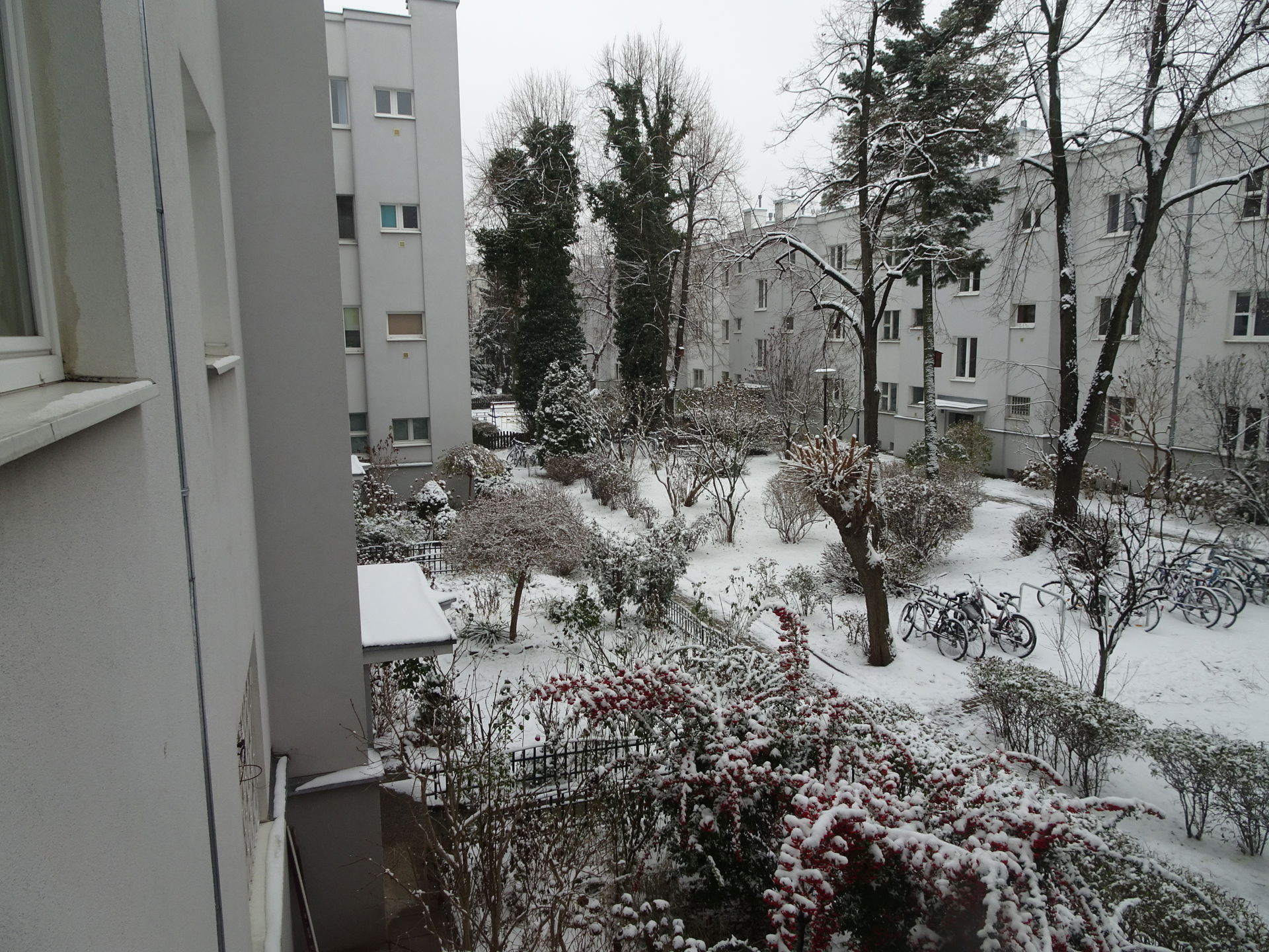 Żoliborz view 3