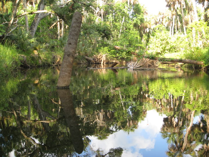 Malabar district