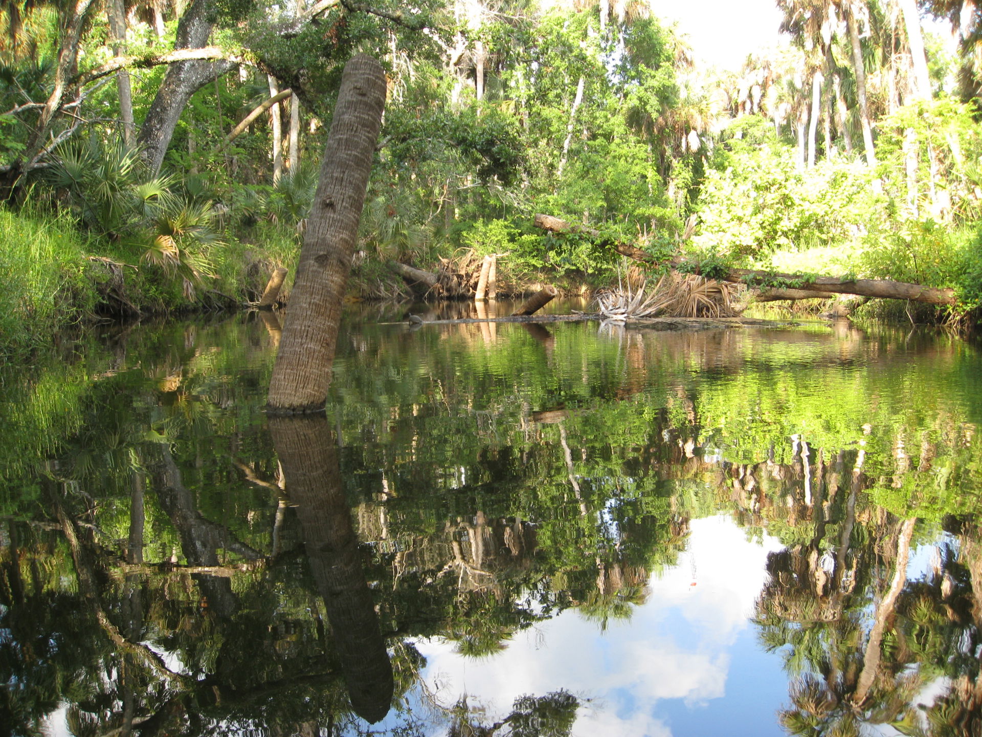 Malabar view 2