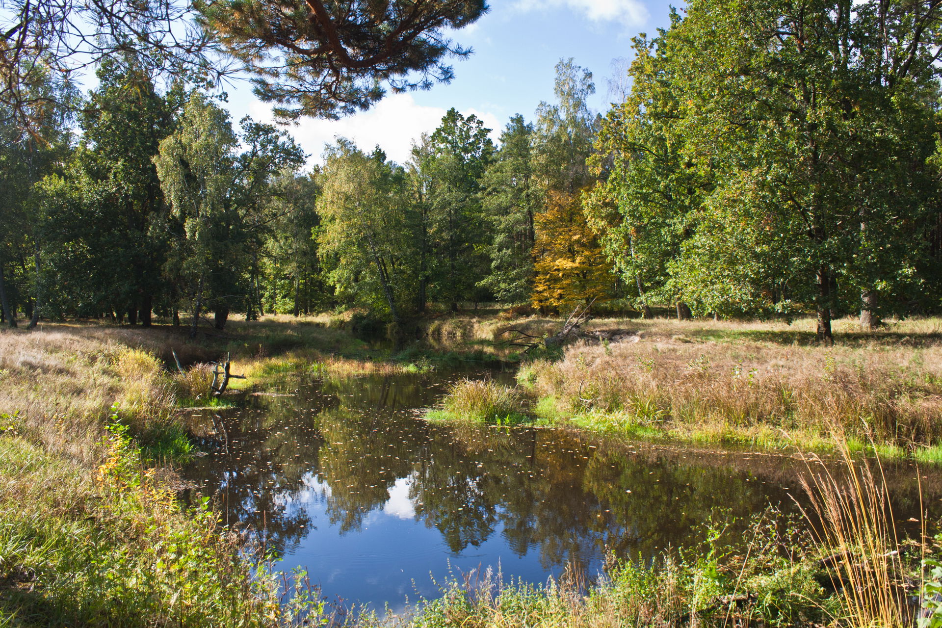 Polesie view 4