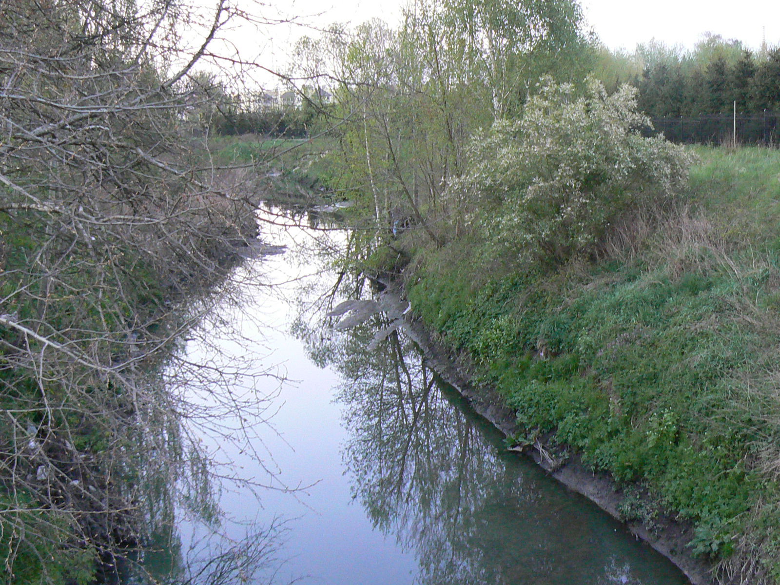 Jasień river, Stare Rokicie in Łódź, Poland